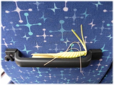 This little grasshopper made of coconut leaves will eventually come back to Costa Rica with us...