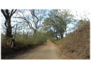 On our way to the beach