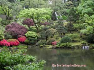 pjg all i can say is wow